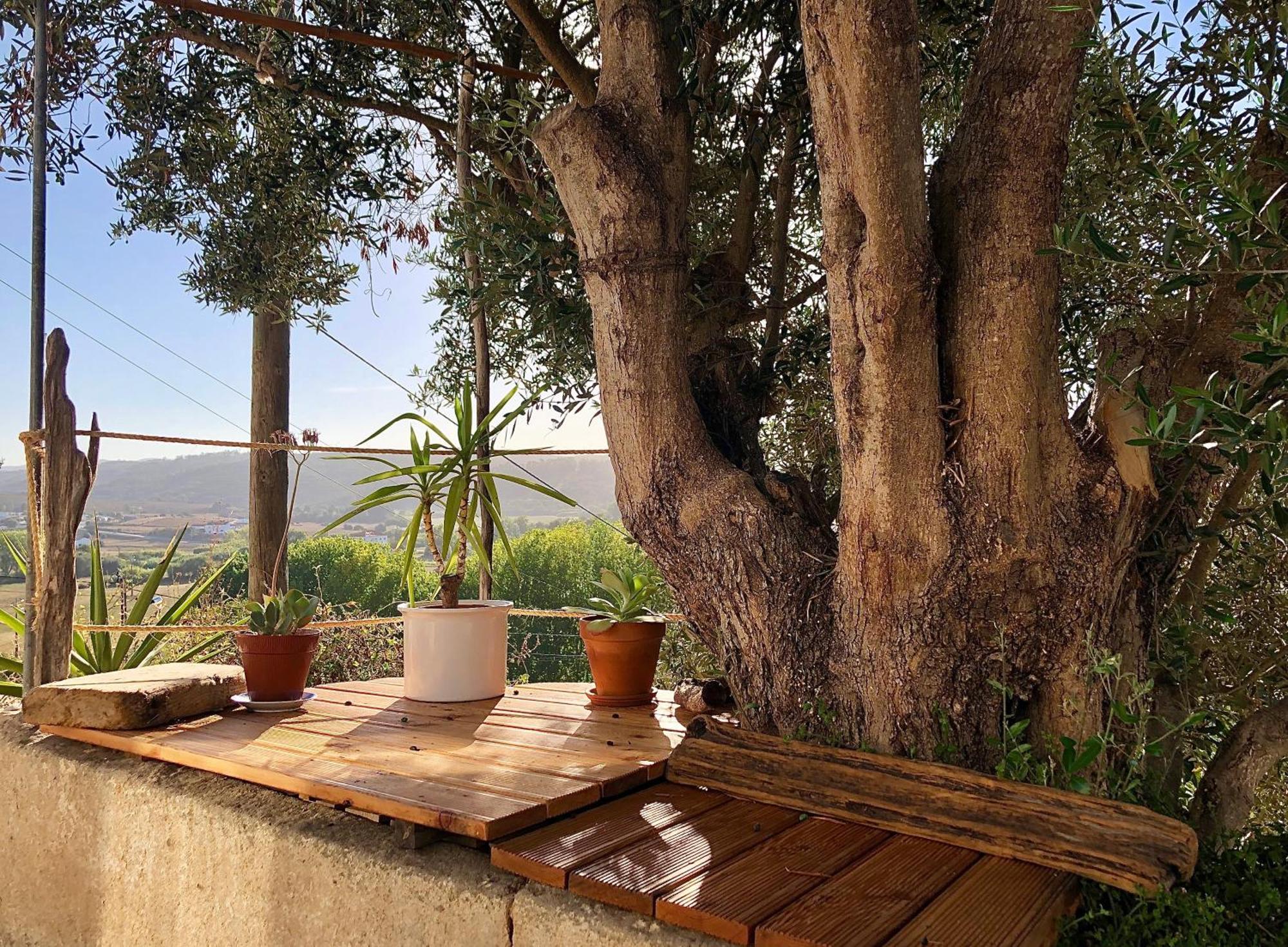Casa Anneli - Relaxing Under The Olive Tree Villa Aljezur Dış mekan fotoğraf